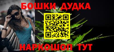 дмт Будённовск