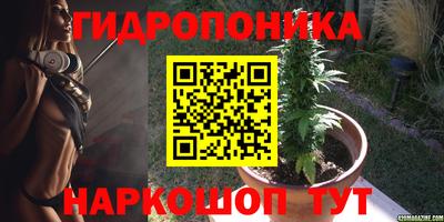 дмт Будённовск