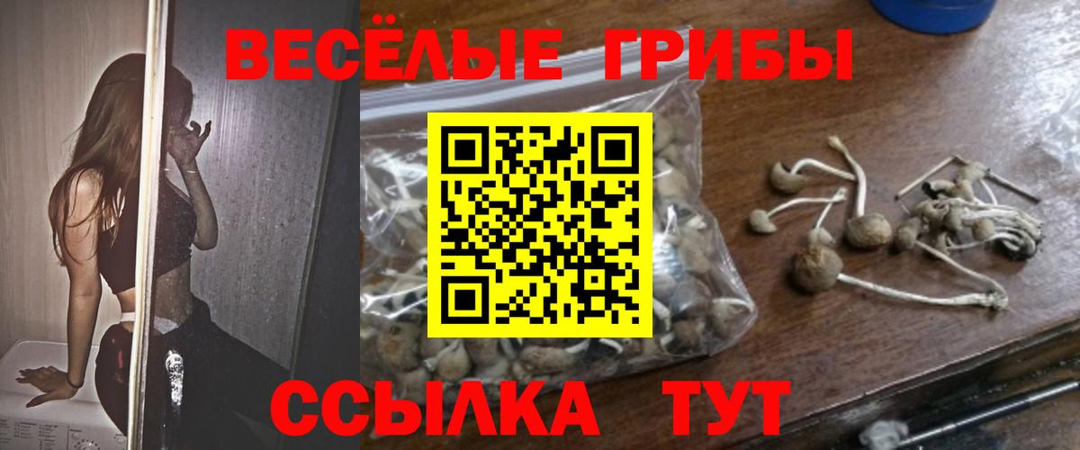 Псилоцибиновые грибы GOLDEN TEACHER Псков
