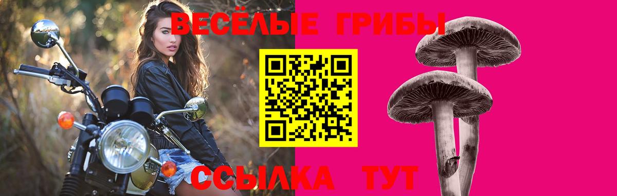 Псилоцибиновые грибы Cubensis  продажа наркотиков  Вход с VPN  Псков  Галлюциногенные грибы Psilocybine cubensis 