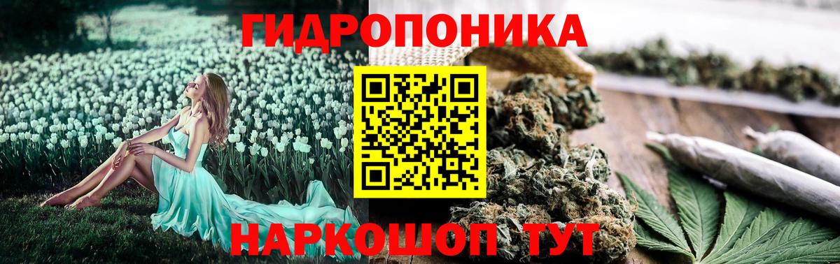 Псков  Бошки Шишки Bruce Banner  Бошки Шишки план  Канабис план  Бошки марихуана LSD WEED  Вход с VPN 